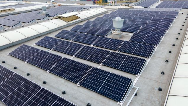 Photovoltaic farm